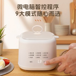 多功能蒸蛋器智能煮蛋器小型蒸蛋羹蒸蛋神器多功能蒸蛋器